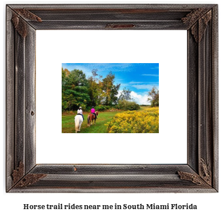 horse trail rides near me in South Miami, Florida